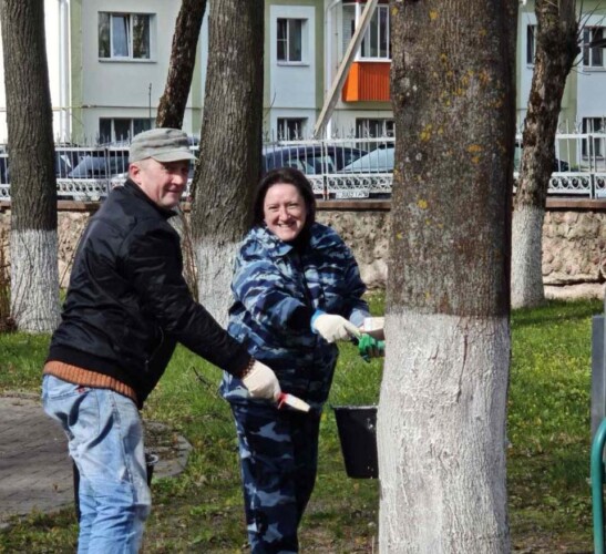 УКПП «Коммунальник» проводит очередной субботник по покраске деревьев