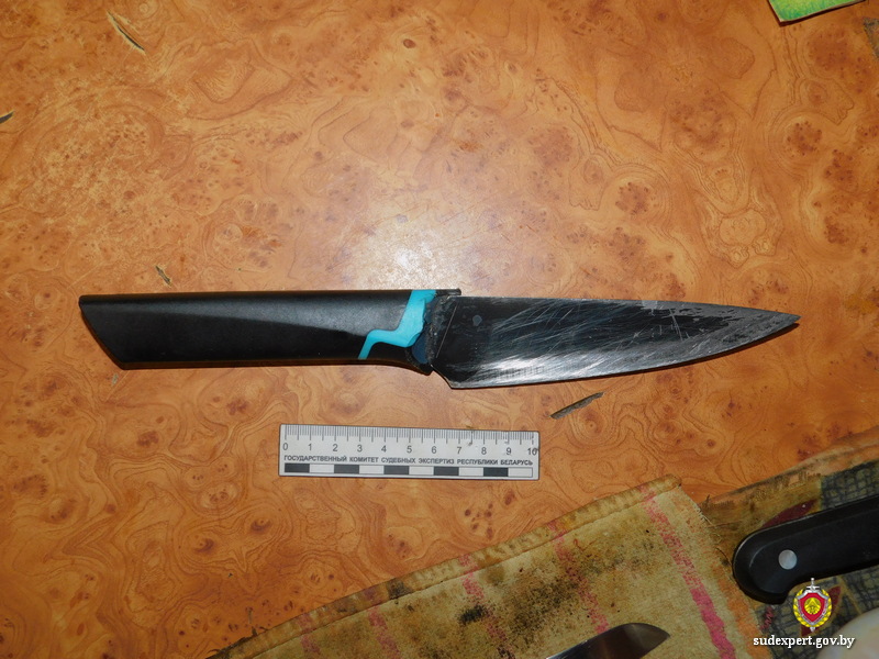 В Горках попытка приготовить обед привела в реанимацию