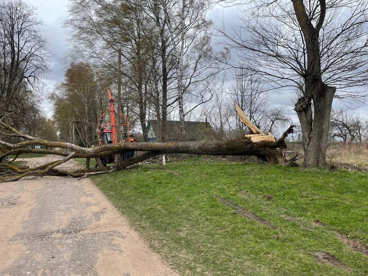 Последствия сильного ветра: повреждена крыша школы и упало дерево