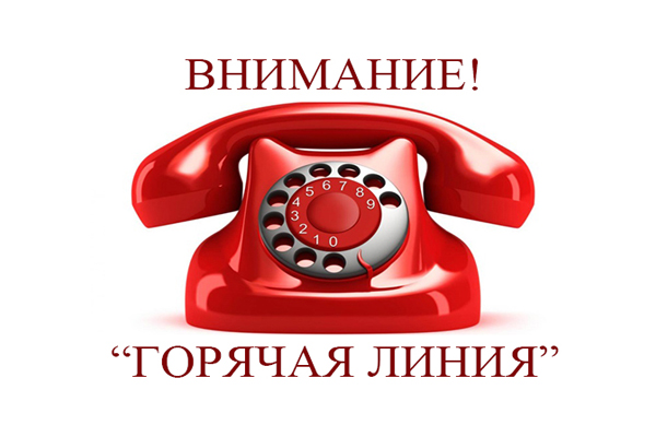 Тематическая горячая линия по организации летней оздоровительной кампании и занятости для несовершеннолетних
