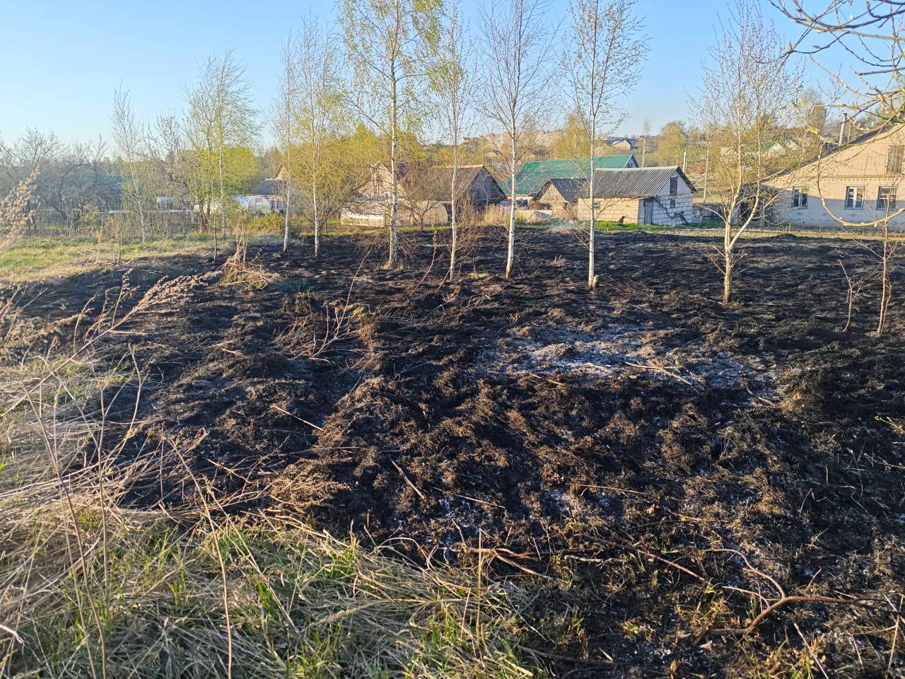 Четыре возгорания за выходные: огненные ЧП произошли в Горках, Шавнево, Любиже и Коптевке