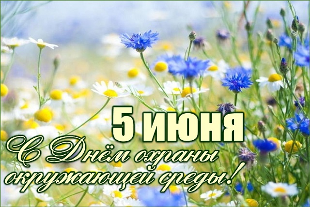 Мы в ответе за мир вокруг нас