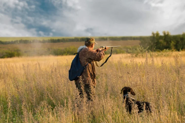 Сезон охоты открыт: правила, документы и важные изменения