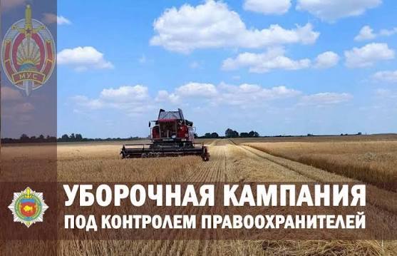 Сохранность урожая под контролем