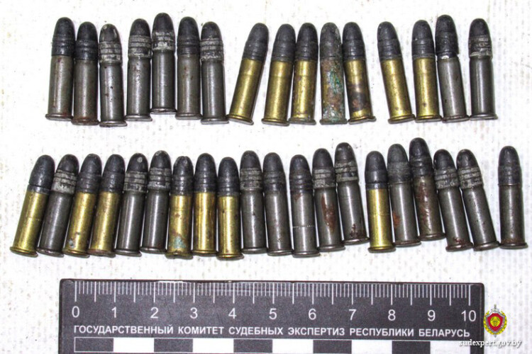 Пенсионерка из Горецкого района незаконно хранила боеприпасы – возбуждено уголовное дело