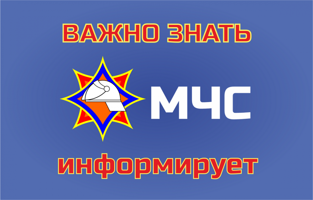 Цена беспечности: МЧС напоминает о правилах безопасности на водоемах