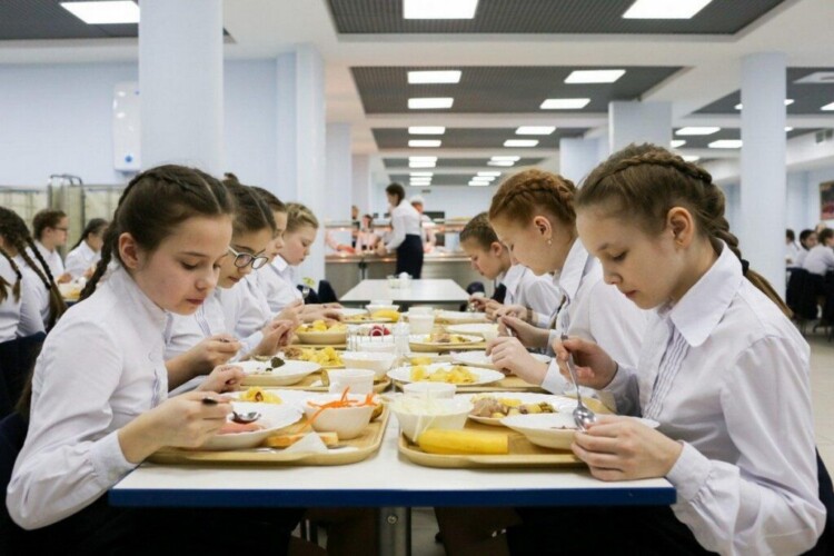 Питание в школах Беларуси: как законно отказаться от обедов в пользу домашней еды