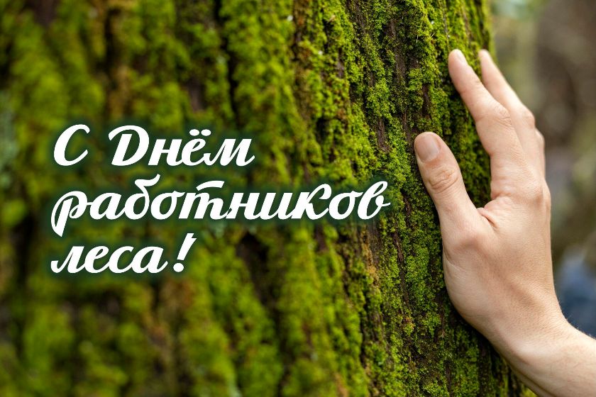 Районная власть поздравляет работников и ветеранов лесного хозяйства с профессиональным праздником
